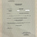 Powiększ obraz: certificate 5