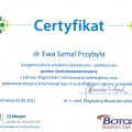 Powiększ obraz: certificate 4