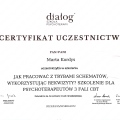 Powiększ obraz: certificate 4