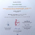 Powiększ obraz: certificate 7