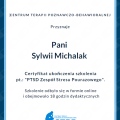 Powiększ obraz: certificate 2