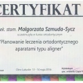 Powiększ obraz: certificate 2