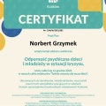 Powiększ obraz: certificate 22