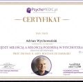 Powiększ obraz: certificate 48