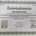 Powiększ obraz: certificate 2