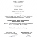 Powiększ obraz: certificate 9