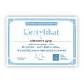 Powiększ obraz: certificate 7