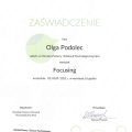 Powiększ obraz: certificate 21