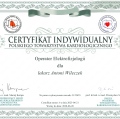 Powiększ obraz: certificate 2
