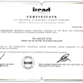 Powiększ obraz: certificate 4