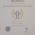 Powiększ obraz: certificate 8