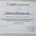Powiększ obraz: certificate 7