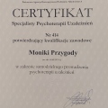 Powiększ obraz: certificate 2