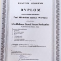 Powiększ obraz: certificate 10