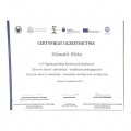 Powiększ obraz: certificate 4