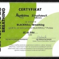 Powiększ obraz: certificate 19