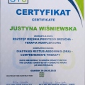 Powiększ obraz: certificate 9