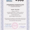 Powiększ obraz: certificate 2
