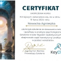 Powiększ obraz: certificate 3