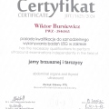 Powiększ obraz: certificate 1