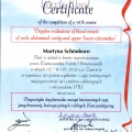Powiększ obraz: certificate 1