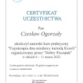 Powiększ obraz: certificate 1