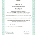 Powiększ obraz: certificate 3