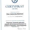 Powiększ obraz: certificate 48