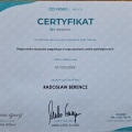 Powiększ obraz: certificate 1
