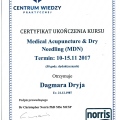 Powiększ obraz: certificate 19