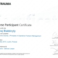 Powiększ obraz: certificate 7
