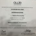Powiększ obraz: certificate 4