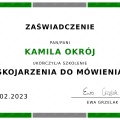 Powiększ obraz: certificate 9
