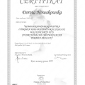 Powiększ obraz: certificate 3