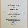 Powiększ obraz: certificate 3