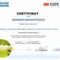 Powiększ obraz: certificate 4