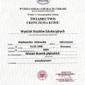 Powiększ obraz: certificate 5