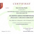Powiększ obraz: certificate 33