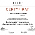 Powiększ obraz: certificate 2