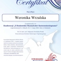Powiększ obraz: certificate 4