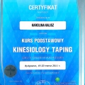 Powiększ obraz: certificate 11