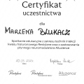 Powiększ obraz: certificate 19