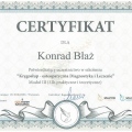 Powiększ obraz: certificate 6