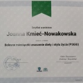 Powiększ obraz: certificate 46