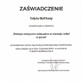 Powiększ obraz: certificate 17