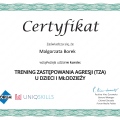Powiększ obraz: certificate 2