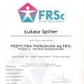 Powiększ obraz: certificate 7
