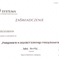 Powiększ obraz: certificate 6
