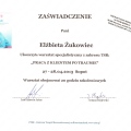 Powiększ obraz: certificate 5