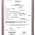 Powiększ obraz: certificate 1